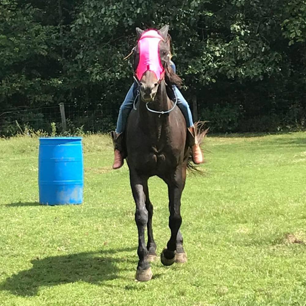 Meet your Posher, Misty